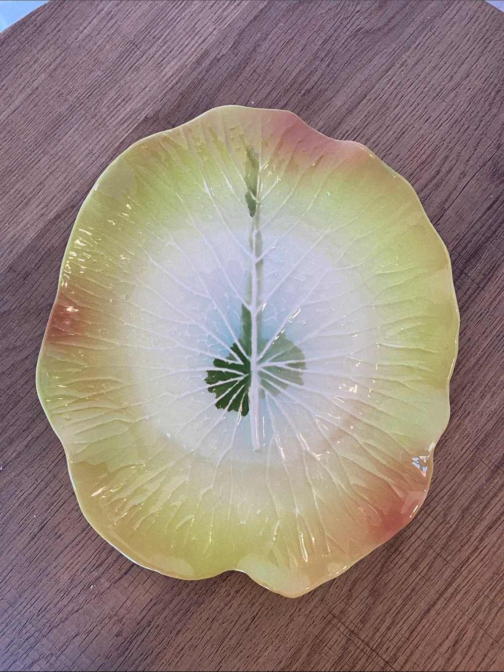 Mustardseed and Moonshile South African Pottery Leaf-Shaped Ceramic Plate